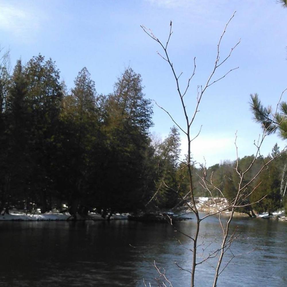 Meet your Posher, Jeannette